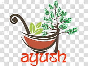 Ayush Havan